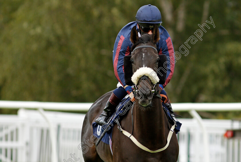 Its afreebee-0002 
 ITS'AFREEBEE (Hollie Doyle)
Lingfield 26 Aug 2020 - Pic Steven Cargill / Racingfotos.com