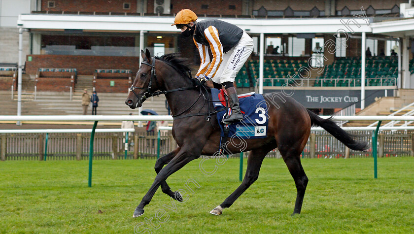 Flight-Alert-0001 
 FLIGHT ALERT (Robert Havlin)
Newmarket 21 Oct 2020 - Pic Steven Cargill / Racingfotos.com