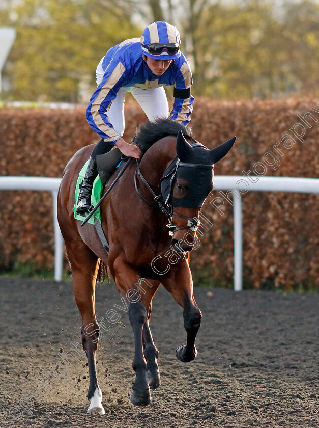 Tribal-Chief-0001 
 TRIBAL CHIEF (Kyle Strydom)
Kempton 3 Apr 2024 - Pic Steven Cargill / Racingfotos.com