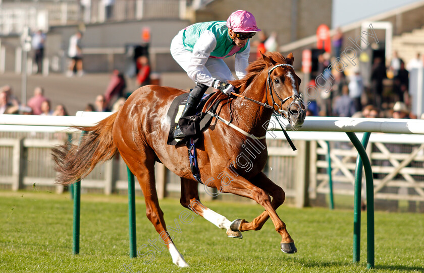 Boltaway-0006 
 BOLTAWAY (James Doyle) wins The Discover Newmarket Handicap
Newmarket 23 Sep 2021 - Pic Steven Cargill / Racingfotos.com