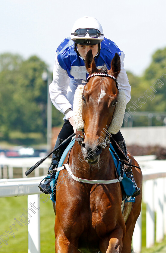 Jean-Baptiste-0001 
 JEAN BAPTISTE (Jonny Peate)
York 16 Jun 2023 - Pic Steven Cargill / Racingfotos.com