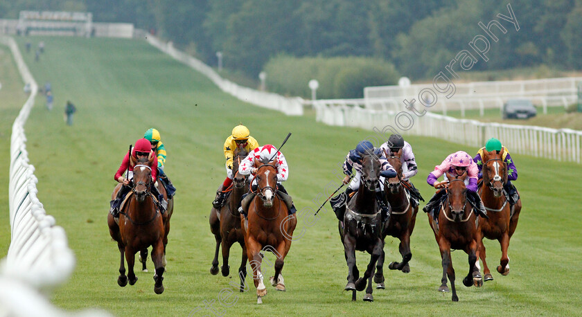 Thechildren strust-0001 
 THECHILDREN'STRUST (2nd right, Rhys Clutterbuck) beats ROCK ICON (right) and SPANISH STAR (2nd left) in The Betway Handicap
Lingfield 14 Aug 2020 - Pic Steven Cargill / Racingfotos.com