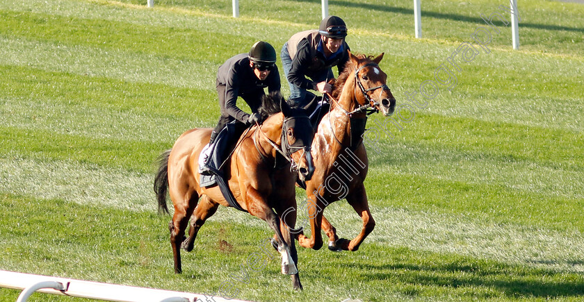 The-Fingal-Raven-and-See-Hector-0001 
 THE FINGAL RAVEN (left) and SEE HECTOR (right) training at the Dubai Racing Carnival
Meydan 22 Jan 2025 - Pic Steven Cargill / Racingfotos.com