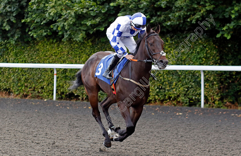 Match-Anthem-0001 
 MATCH ANTHEM (Luke Morris)
Kempton 16 Jul 2024 - Pic Steven Cargill / Racingfotos.com