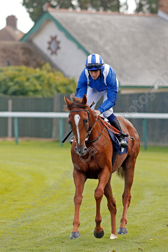 Gabr-0001 
 GABR (Jim Crowley) winner of The British Stallion Studs EBF Novice Stakes Yarmouth 20 Sep 2017 - Pic Steven Cargill / Racingfotos.com