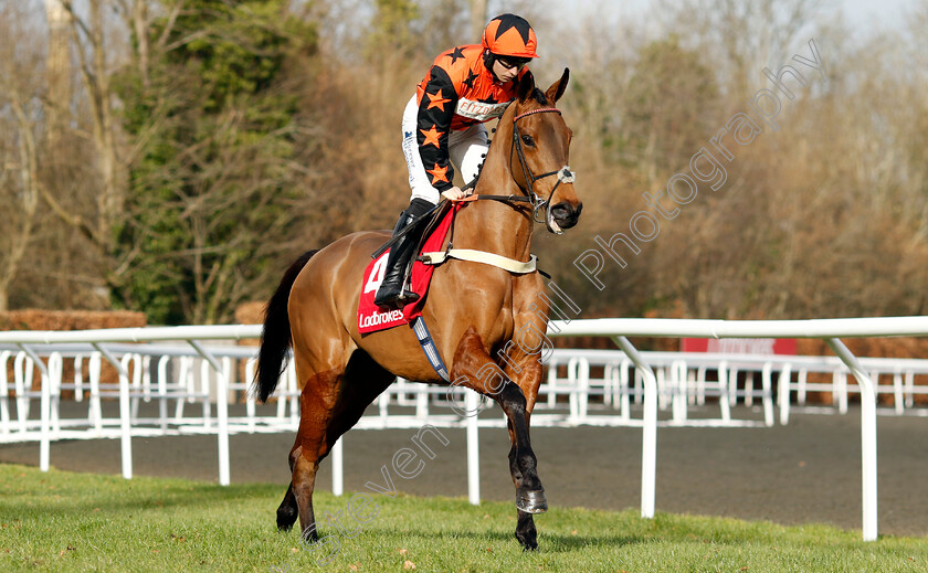 Mambonumberfive-0006 
 MAMBONUMBERFIVE (Ben Jones) winner of The Ladbrokes Adonis Juvenile Hurdle
Kempton 22 Feb 2025 - Pic Steven Cargill / Racingfotos.com