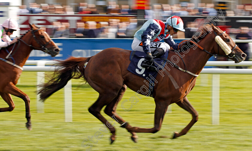 Desert-Skyline-0006 
 DESERT SKYLINE (Silvestre De Sousa) wins The Doncaster Cup Doncaster 15 Sep 2017 - Pic Steven Cargill / Racingfotos.com