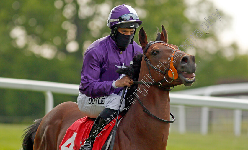 Hotline-Bling-0001 
 HOTLINE BLING (Sean Levey)
Sandown 27 May 2021 - Pic Steven Cargill / Racingfotos.com