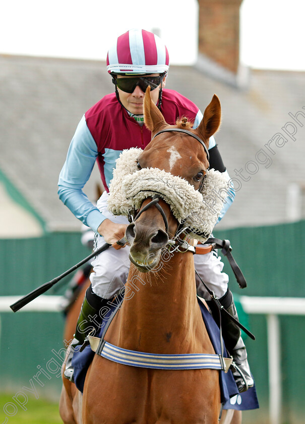 Alafdhal-0001 
 ALAFDHAL (Jamie Spencer)
Yarmouth 14 Sep 2022 - Pic Steven Cargill / Racingfotos.com