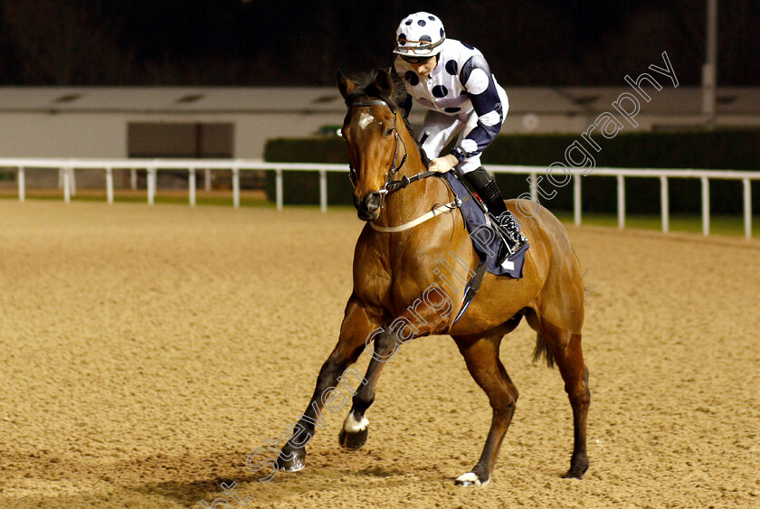 Mr-Top-Hat-0001 
 MR TOP HAT (Eoin Walsh)
Wolverhampton 26 Feb 2019 - Pic Steven Cargill / Racingfotos.com