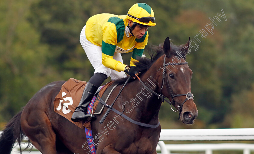 Specifically-0002 
 SPECIFICALLY (Sean Levey)
Kempton 2 Oct 2024 - pic Steven Cargill / Racingfotos.com