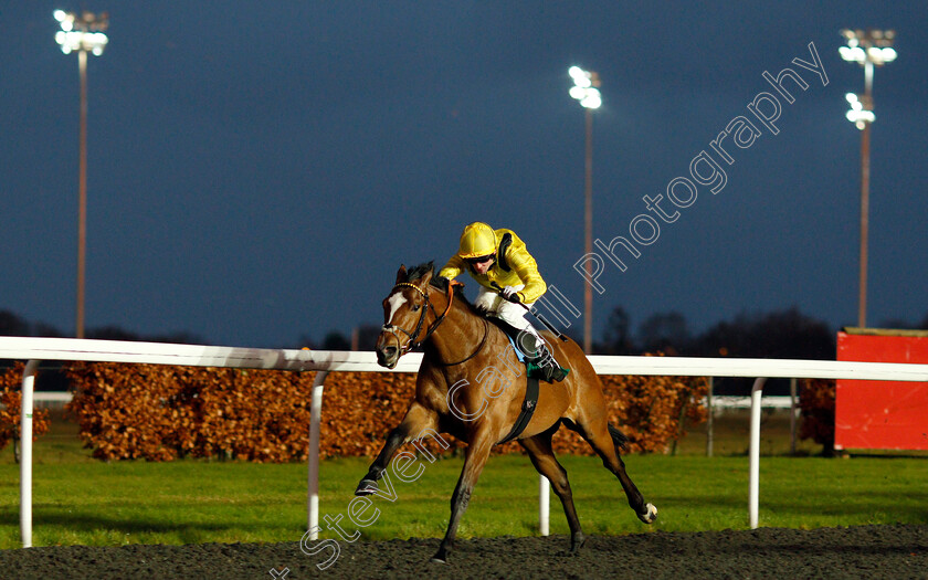 Monadee-0002 
 MONADEE (Jack Mitchell) wins The Bethany & Theodore Fitchie Novice Stakes Kempton 13 Dec 2017 - Pic Steven Cargill / Racingfotos.com