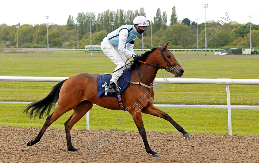 Dulcet-Spirit-0001 
 DULCET SPIRIT (James Doyle)
Wolverhampton 24 May 2021 - Pic Steven Cargill / Racingfotos.com