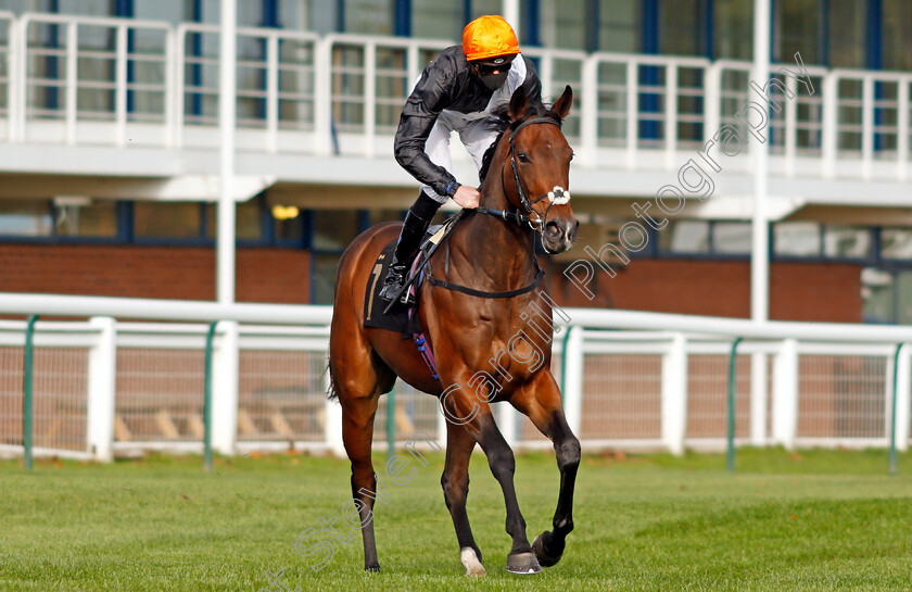 Quenelle-D Or-0001 
 QUENELLE D'OR (James Doyle)
Nottingham 4 Nov 2020 - Pic Steven Cargill / Racingfotos.com