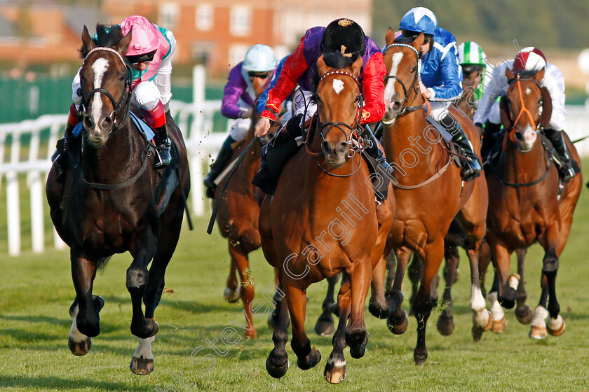 Daphne-0006 
 DAPHNE (centre, Ryan Moore) beats WEEKENDER (left) in The Dubai Duty Free Finest Surprise Handicap Newbury 23 Sep 2017 - Pic Steven Cargill / Racingfotos.com