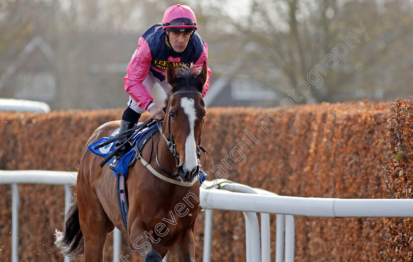 Lawn-Ranger-0001 
 LAWN RANGER (Kieren Fox) Kempton 7 Apr 2018 - Pic Steven Cargill / Racingfotos.com