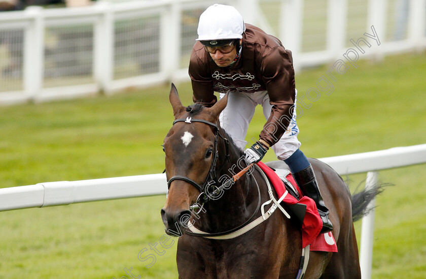 Lord-Lamington-0007 
 LORD LAMINGTON (Silvestre De Sousa) wins The Starsports.bet Handicap
Sandown 30 May 2019 - Pic Steven Cargill / Racingfotos.com