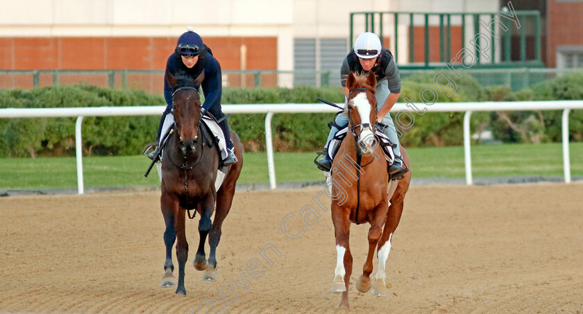 Lyrical-Poetry-and-Annerville-0002 
 LYRICAL POETRY (right) and ANNERVILLE (left) training at the Dubai World Cup Carnival
Meydan 5 Jan 2023 - Pic Steven Cargill / Racingfotos.com