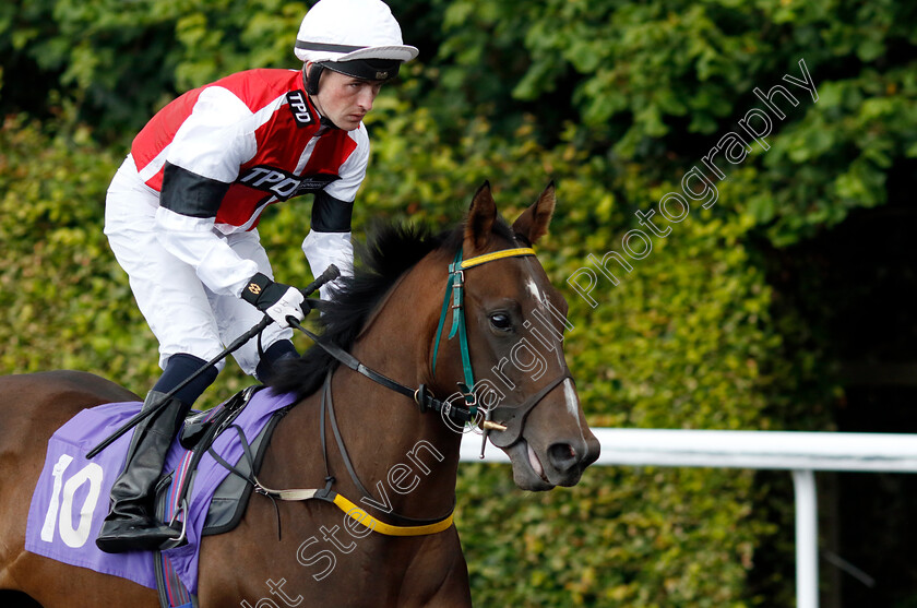 One-For-Harvey-0001 
 ONE FOR HARVEY (Dylan Hogan)
Kempton 16 Jul 2024 - Pic Steven Cargill / Racingfotos.com