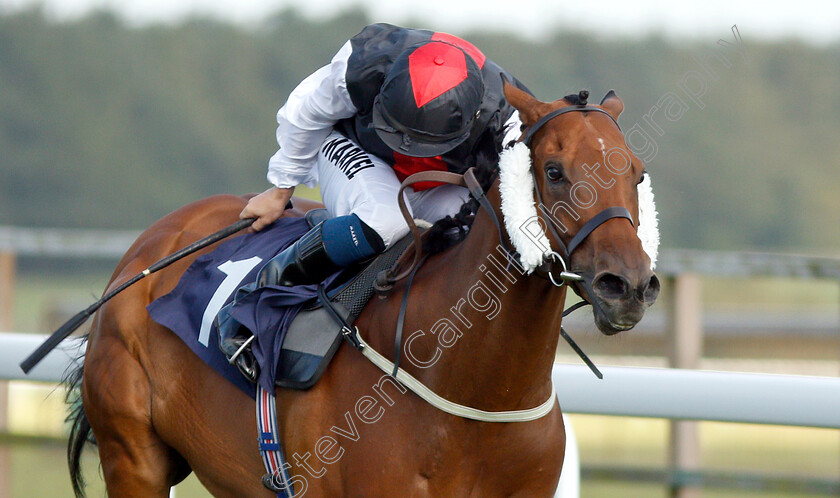 Storm-Melody-0006 
 STORM MELODY (Tom Marquand) wins The Best Free Tips At Valuerater.co.uk Handicap
Bath 3 Jul 2019 - Pic Steven Cargill / Racingfotos.com