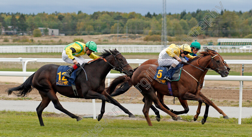 Corinthia-Knight-0002 
 CORINTHIA KNIGHT (Luke Morris) beats PUDS (left) in The Clarion Sign Bro Park Sprint Championship
Bro Park, Sweden 22 Sep 2019 - Pic Steven Cargill / Racingfotos.com