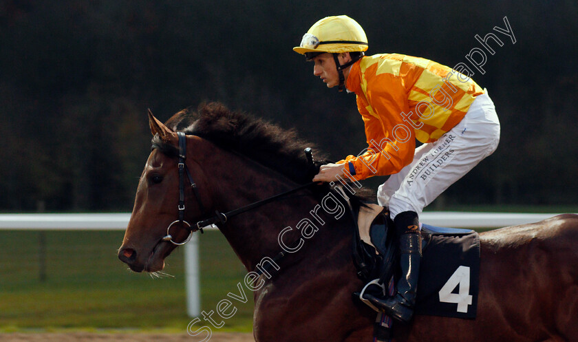 Estate-House-0001 
 ESTATE HOUSE (George Wood)
Chelmsford 25 Nov 2019 - Pic Steven Cargill / Racingfotos.com