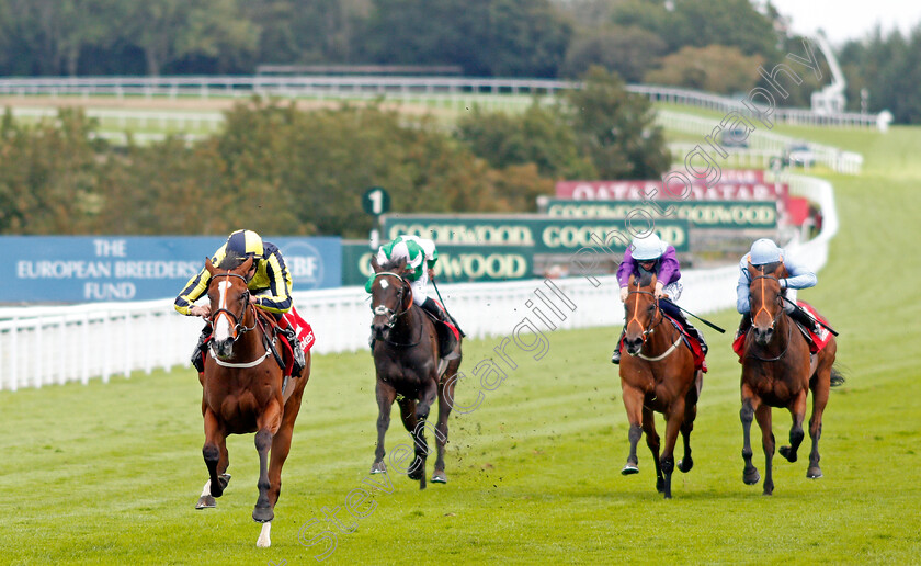 Isabella-Giles-0004 
 ISABELLA GILES (Adam Kirby) wins The Ladbrokes Prestige Stakes
Goodwood 29 Aug 2020 - Pic Steven Cargill / Racingfotos.com