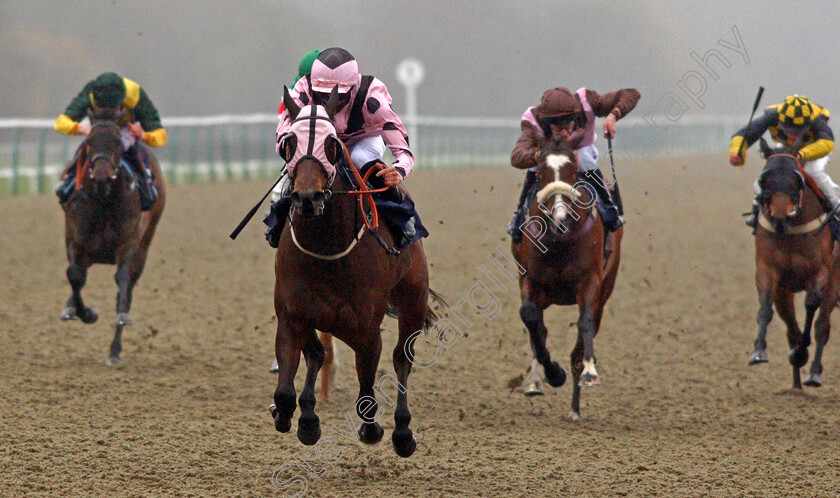 Hotalena-0003 
 HOTALENA (Mark Crehan) wins The Get Your Ladbrokes Daily Odds Boost Handicap
Lingfield 10 Mar 2021 - Pic Steven Cargill / Racingfotos.com