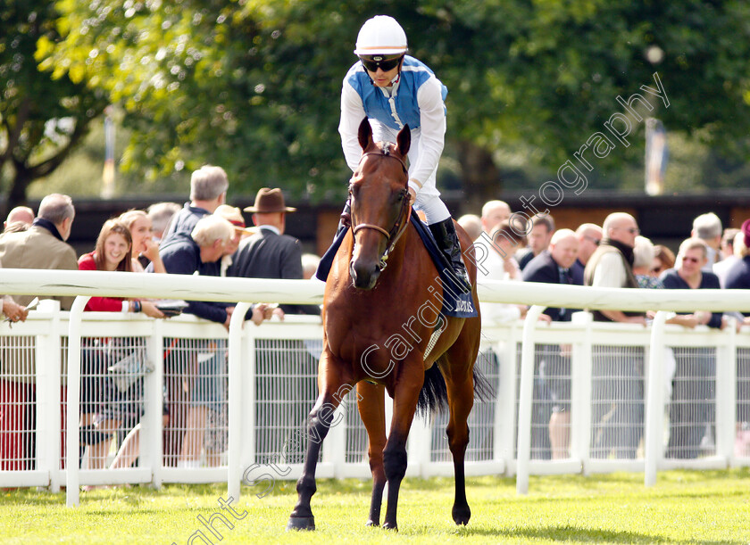 Plumatic-0001 
 PLUMATIC (Maxime Guyon) before winning The Tattersalls Sovereign Stakes
Salisbury 16 Aug 2018 - Pic Steven Cargill / Racingfotos.com