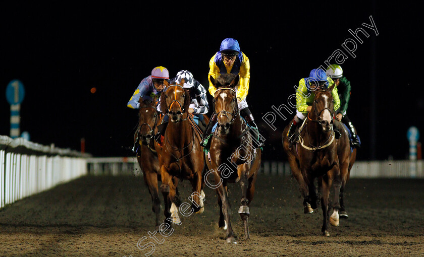 El-Misk-0004 
 EL MISK (Robert Havlin) wins The Matchbook Casino Handicap
Kempton 3 Sep 2019 - Pic Steven Cargill / Racingfotos.com