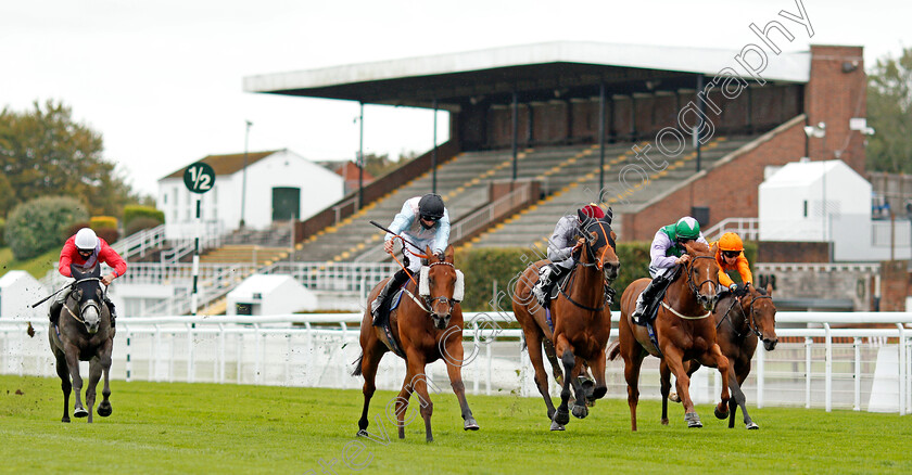 The-Lamplighter-0003 
 THE LAMPLIGHTER (centre, Jack Mitchell) beats AL DAWODIYA (3rd right) in The tote.co.uk Home Of The Placepot Handicap
Goodwood 23 Sep 2020 - Pic Steven Cargill / Racingfotos.com