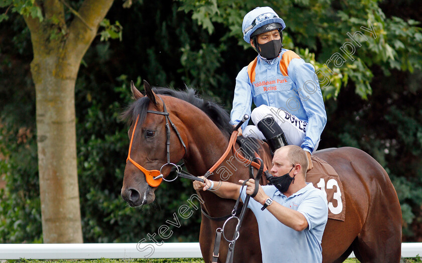 Zion-Star-0001 
 ZION STAR (Sean Levey)
Kempton 18 Aug 2020 - Pic Steven Cargill / Racingfotos.com