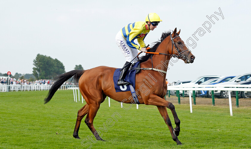 Taravara-0001 
 TARAVARA (Pat Cosgrave)
Yarmouth 16 Sep 2021 - Pic Steven Cargill / Racingfotos.com