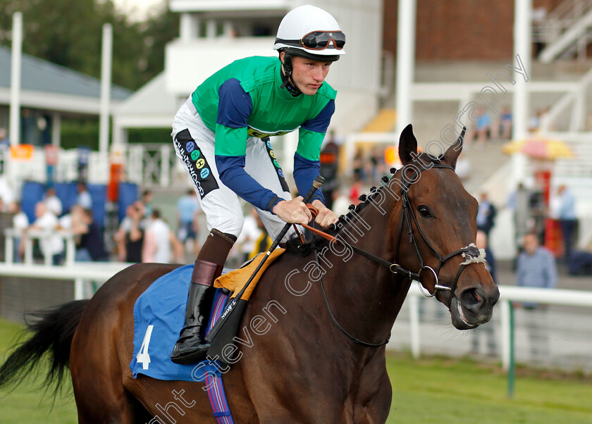 Yellow-Label-0002 
 YELLOW LABEL (Joshua Bryan)
Nottingham 16 Jul 2019 - Pic Steven Cargill / Racingfotos.com