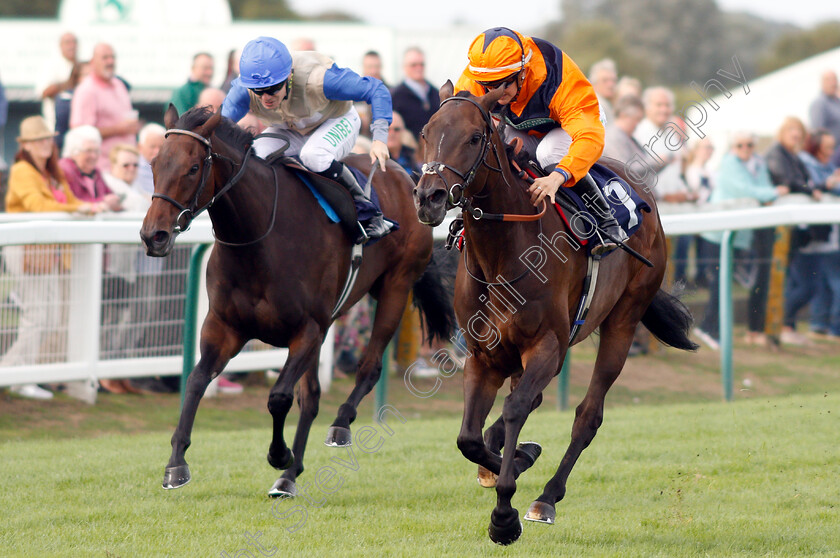 Potters-Lady-Jane-0002 
 POTTERS LADY JANE (Josephine Gordon) wins The British EBF Fillies Handicap
Yarmouth 20 Sep 2018 - Pic Steven Cargill / Racingfotos.com