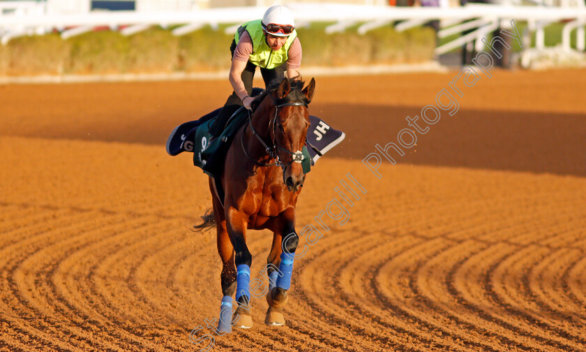 Mishriff-0003 
 MISHRIFF training for The Saudi Cup
King Abdulaziz Racetrack, Riyadh, Saudi Arabia 23 Feb 2022 - Pic Steven Cargill / Racingfotos.com