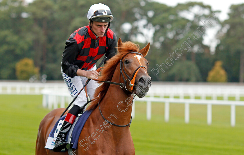 Klopp-Of-The-Kop-0001 
 KLOPP OF THE KOP (Adam Kirby)
Ascot 6 Sep 2019 - Pic Steven Cargill / Racingfotos.com