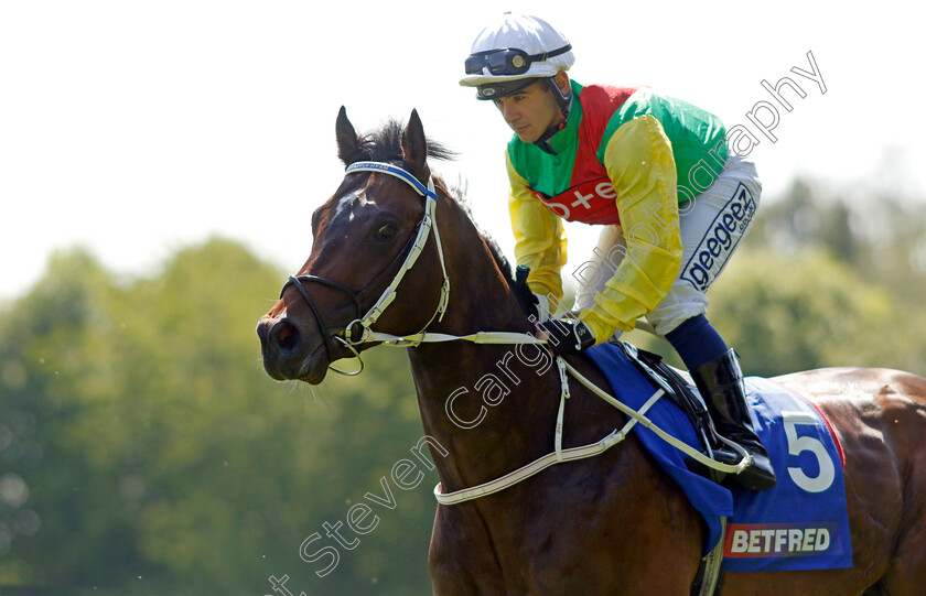 Mill-Stream-0004 
 MILL STREAM (Marco Ghiani)
Haydock 27 May 2023 - Pic Steven Cargill / Racingfotos.com