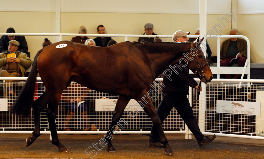 Lot-0143-Rockmount-Rocker-£6000-0001 
 Lot 143 ROCKMOUNT ROCKER selling for £6000 at Tattersalls Ireland Ascot November Sale 9 Nov 2017 - Pic Steven Cargill / Racingfotos.com