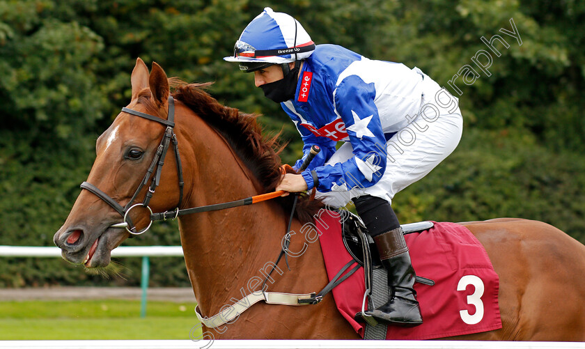 Teescomponentsfly-0001 
 TEESCOMPONENTSFLY (Josephine Gordon)
Haydock 3 Sep 2020 - Pic Steven Cargill / Racingfotos.com