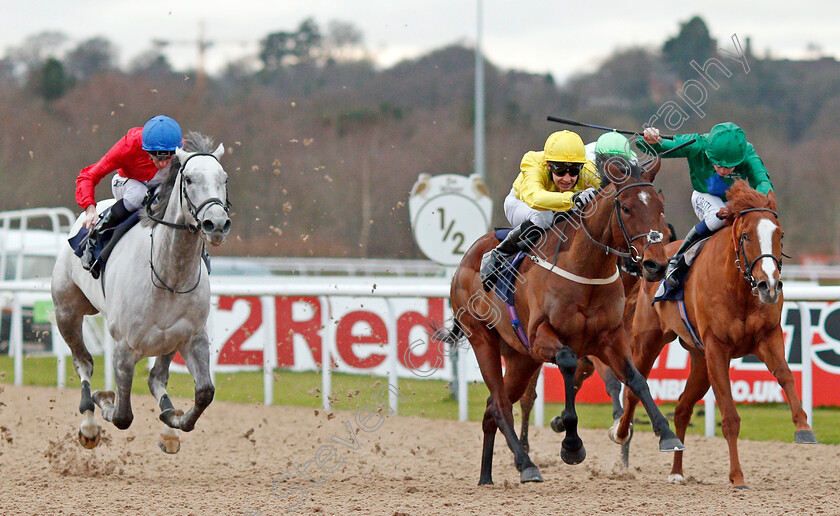 Summer-Icon-0002 
 SUMMER ICON (centre, Charles Bishop) beats RAVEN'S LADY (right) and DIAGNOSTIC (left) in The 32Red.com Fillies Conditions Stakes Wolverhampton 4 Jan 2017 - Pic Steven Cargill / Racingfotos.com