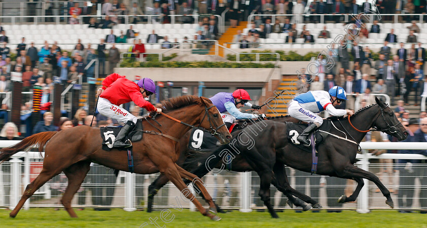 Renfrew-Street-0004 
 RENFREW STREET (Joe Fanning) beats MELINOE (farside) and NOTICE (left) in The TBA Centenary Fillies Handicap Goodwood 27 Sep 2017 - Pic Steven Cargill / Racingfotos.com