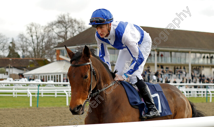 Dulcet-Spirit-0001 
 DULCET SPIRIT (Jack Gilligan)
Lingfield 23 Dec 2023 - Pic Steven Cargill / Racingfotos.com