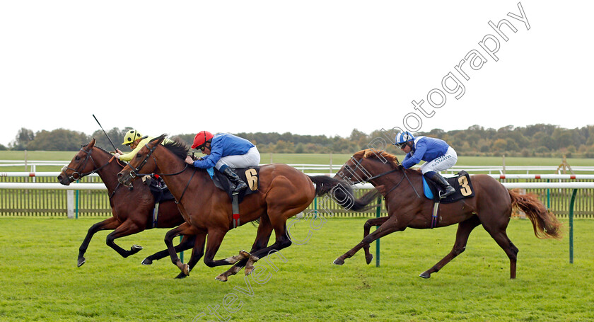 New-London-0004 
 NEW LONDON (centre, William Buick) beats SOUL STOPPER (left) and LAATANSA (right) in The Home of Racing Maiden Stakes
Newmarket 20 Oct 2021 - Pic Steven Cargill / Racingfotos.com