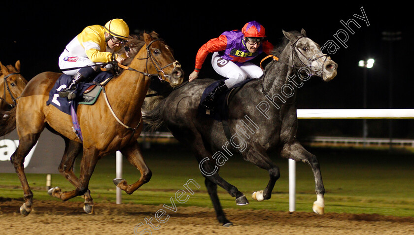 Rocket-Action-0002 
 ROCKET ACTION (Tom Queally) beats CORINTHIA KNIGHT (left) in The Betway Handicap
Wolverhampton 26 Nov 2019 - Pic Steven Cargill / Racingfotos.com