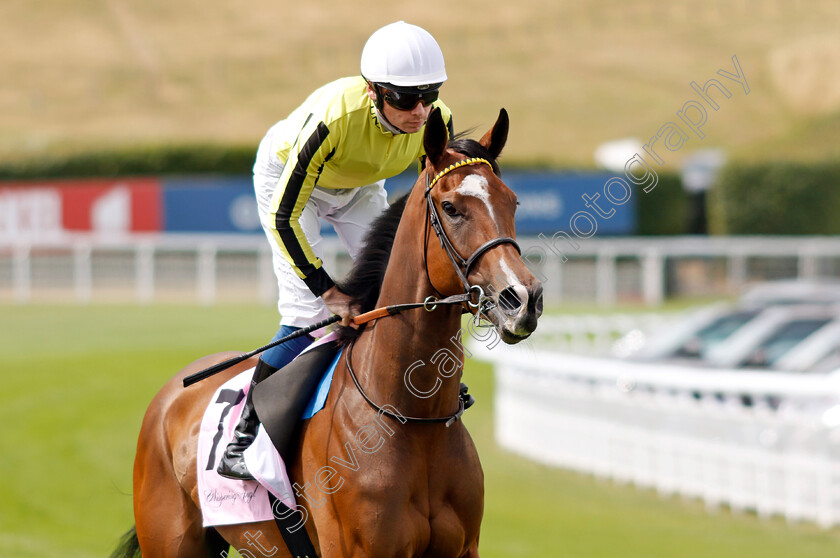 She-Do 
 SHE DO (Callum Shepherd) 
Goodwood 27 Jul 2022 - Pic Steven Cargill / Racingfotos.com