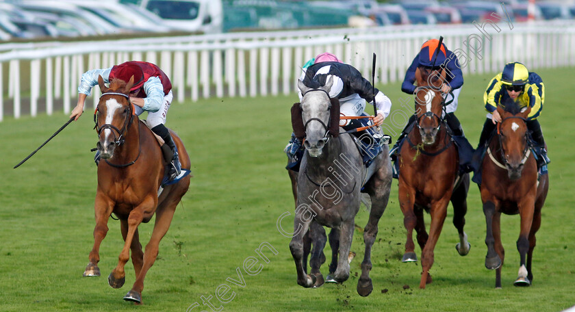 Mistressofillusion-0004 
 MISTRESSOFILLUSION (centre, Rossa Ryan) beats QUEEN EMMA (left) in The British EBF Ruby Anniversary Premier Fillies Handicap
Doncaster 15 Sep 2023 - Pic Steven Cargill / Racingfotos.com