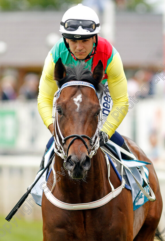 Mill-Stream-0001 
 MILL STREAM (Marco Ghiani)
York 17 Jun 2023 - Pic Steven Cargill / Racingfotos.com