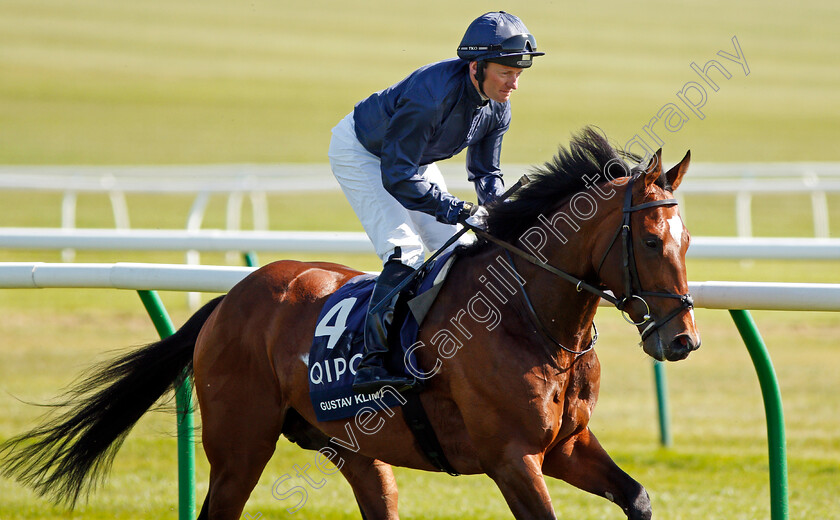 Gustav-Klimt-0003 
 GUSTAV KLIMT (Seamie Heffernan) Newmarket 5 May 2018 - Pic Steven Cargill / Racingfotos.com