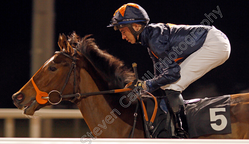 Flower-Of-Thunder-0001 
 FLOWER OF THUNDER (Rossa Ryan)
Chelmsford 19 Nov 2019 - Pic Steven Cargill / Racingfotos.com